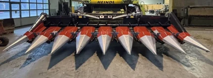 Dominoni MAISPFLüCKER 8 REIHIG