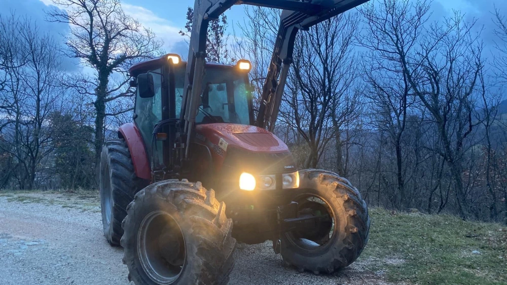 Argnani e Monti FARMALL 105 A d'occasion — photo 5