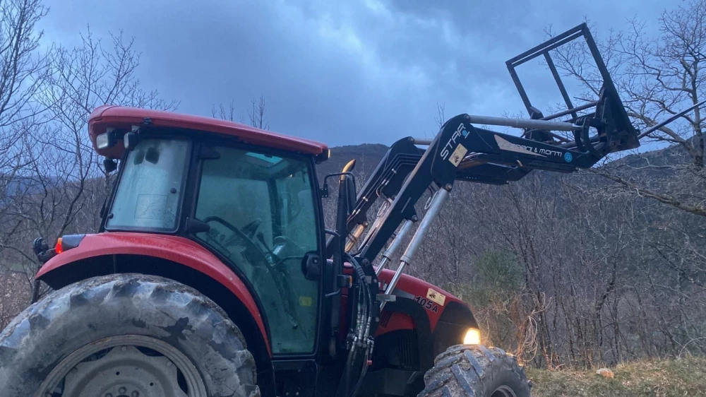 Argnani e Monti FARMALL 105 A d'occasion — photo 20