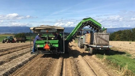 Inconnu REEKIE DOMINANT 3000/3154 CFF