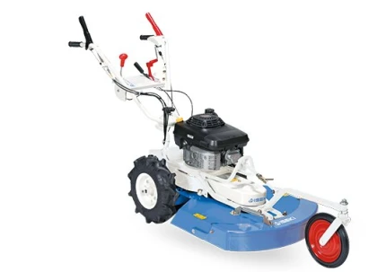 Iseki / Yvan Beal SHE61H