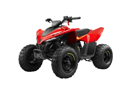 Quad / SSV