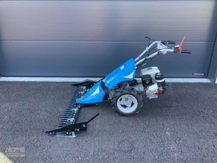 Bertolini B 143