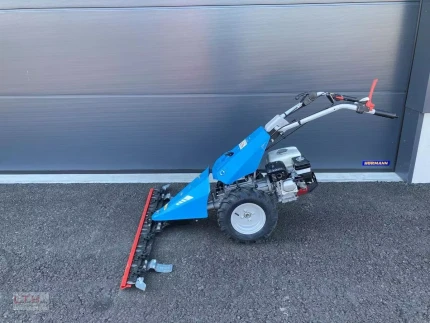 Bertolini B 55