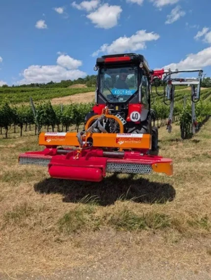 Fischer FISCHER BV 3 165 -240CM