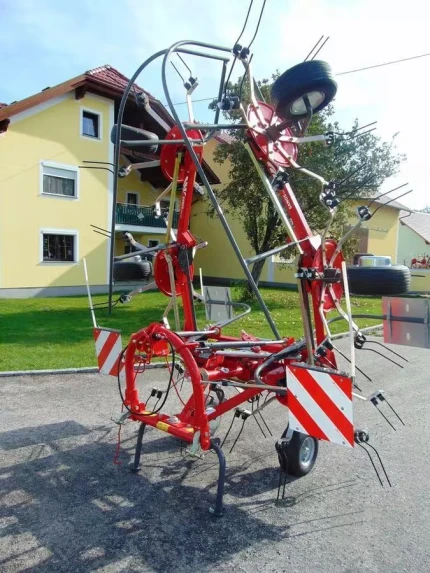 Faneuse - 6M - 2023