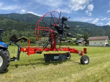 Faneuse - 6M - 2024