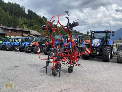 Faneuse - 6M - 2024