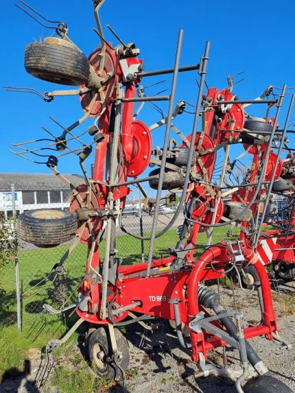 Faneuse - 8M - 2020