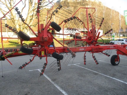 Faneuse - 6M - 2009