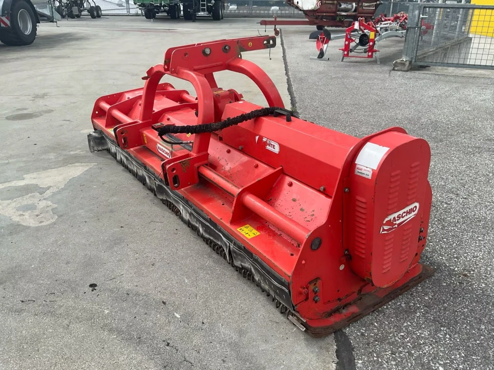 Maschio Gaspardo BISONTE 300 d'occasion — photo 1
