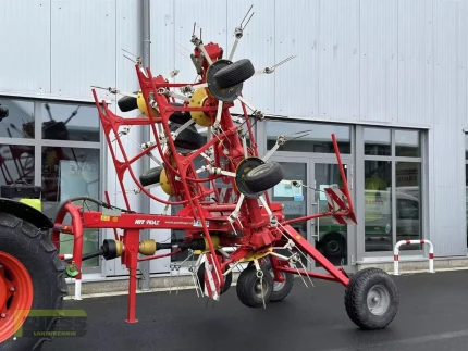 Faneuse - 8M - 2012