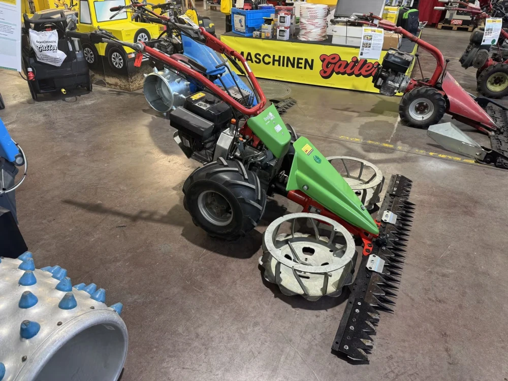 Rapid SWISS MIT FREISCHNITTBALKEN 160CM d'occasion — photo 1