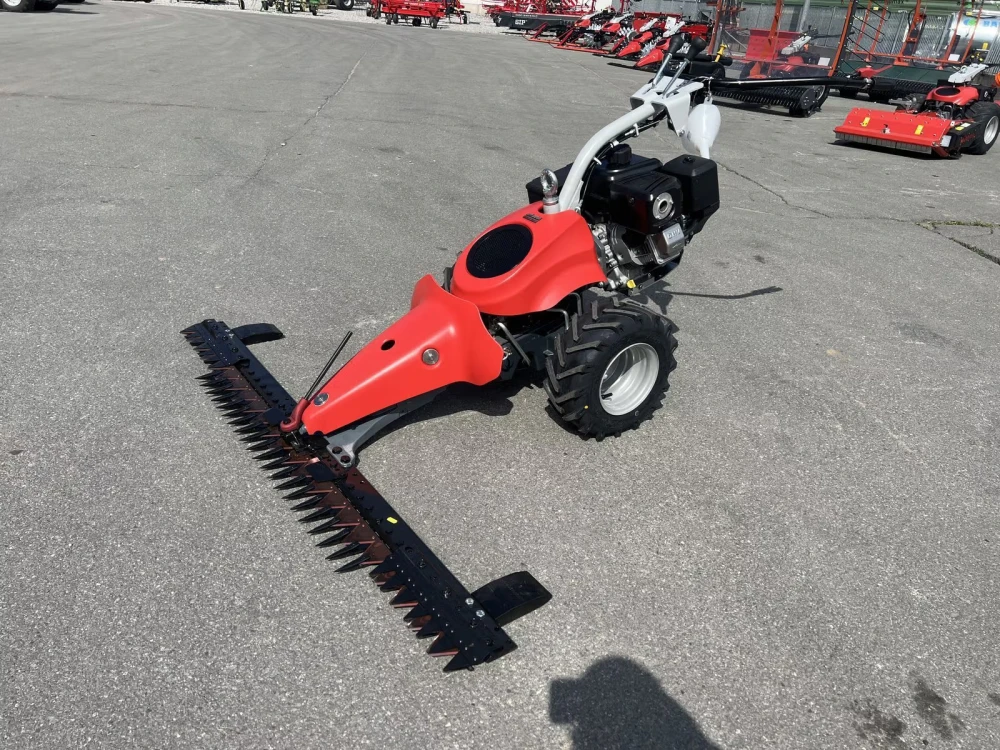 Aebi COMBICUT CC110 AKTIONSMODELL d'occasion — photo 1