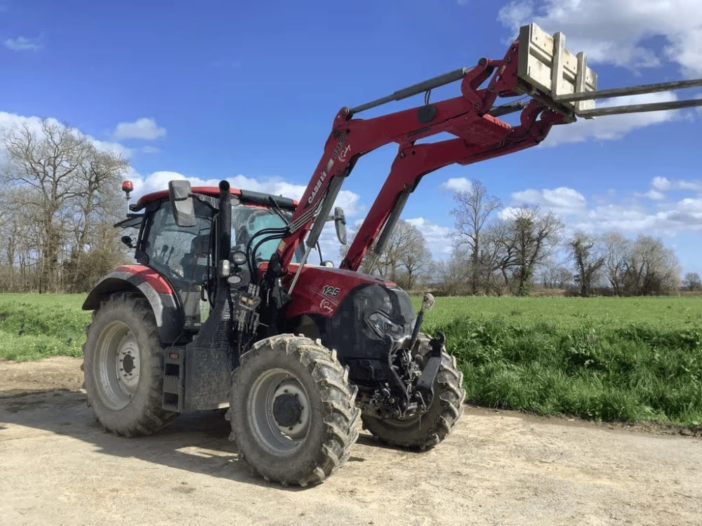 Case IH MAXXUM 125 d'occasion — photo 1