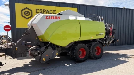 Presse à balles carrées (moyenne et haute densité) - 43450bottes - 2021