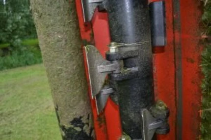 Image 11