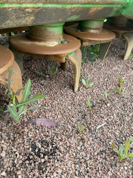Image 12