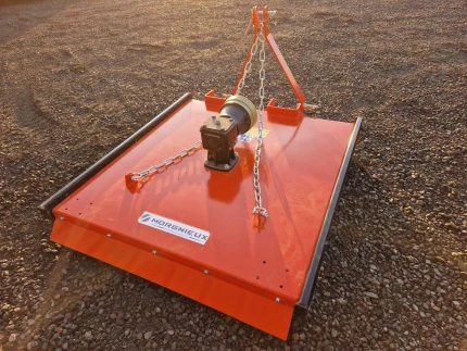 Image 4