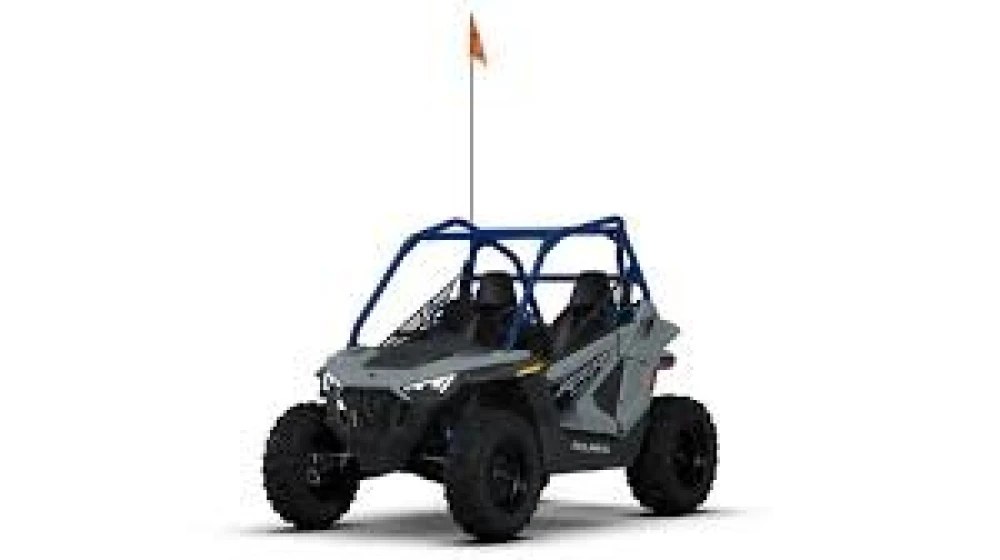 Polaris RZR 200 d'occasion — photo 3