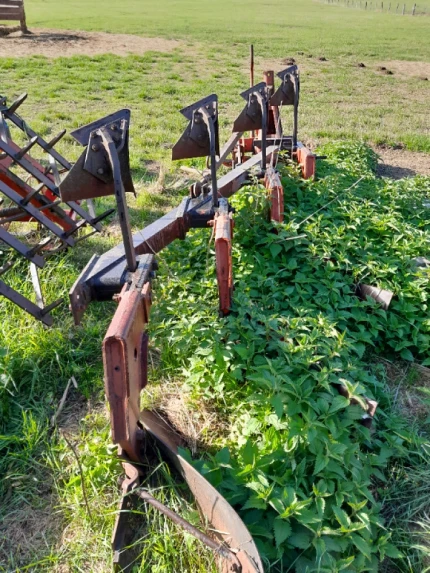 Charrue - Non réversible - 4corps - 4socs